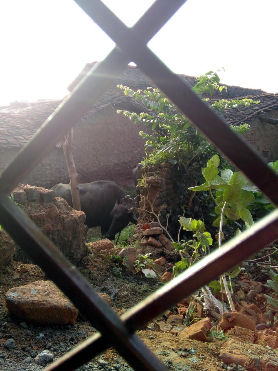 Friends In Khajuraho Apartment Exterior photo